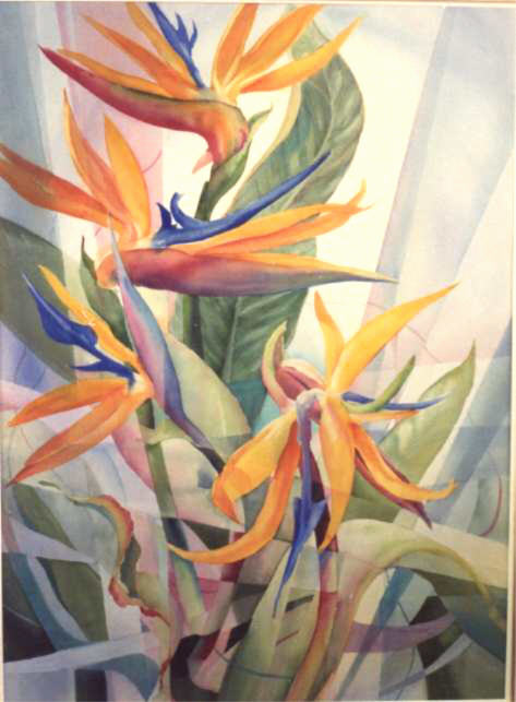 Tropical Birds