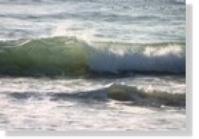 Wave #297 is included with the Making Waves DVD