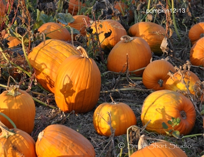 pumpkin-12-13
