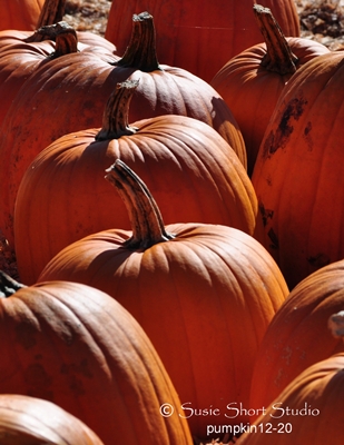 pumpkin-12-20