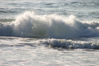wave 298