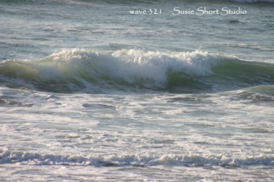 wave 321