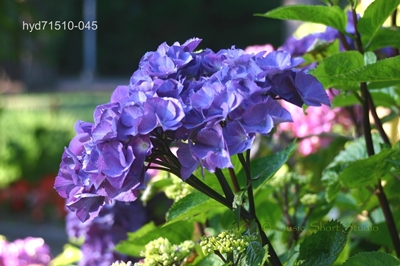 hyd71510-045