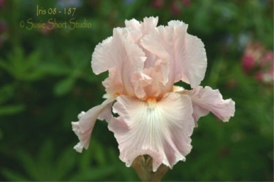 08-187