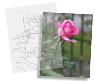 Susie's Painting Patterns & Photos