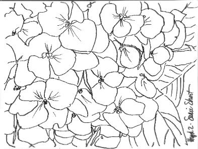 Pattern for Hydrangea Reference Photo #2
