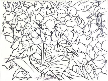 Pattern for Hydrangea Reference Photo #3