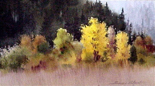 Cascade Autumn II by Susie Short