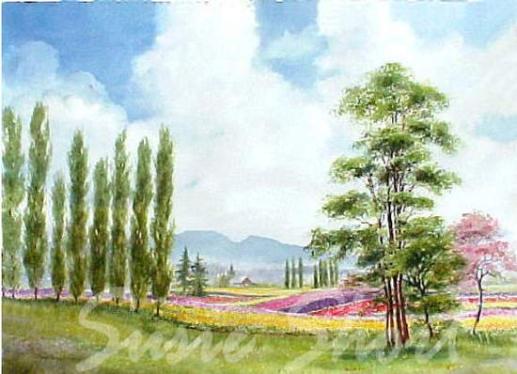 Skagit Vaalley Springtime by Susie Short