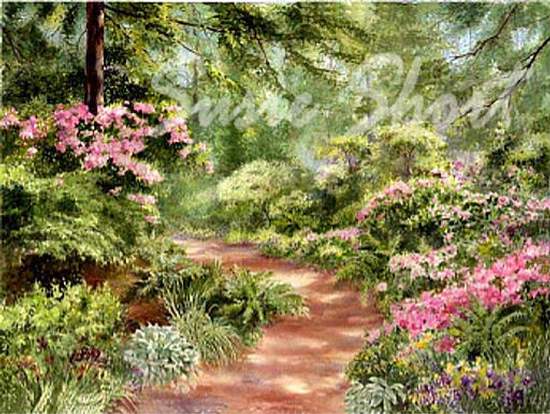 Allee d' Azalea by Susie Short